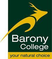 1 a 1 a logo barony