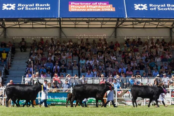 Royal Bank of Scotland backs Royal Highland Showcase  
