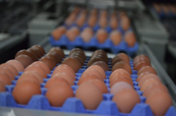 RETAILERS DRIVING LACK OF CONFIDENCE IN EGGS