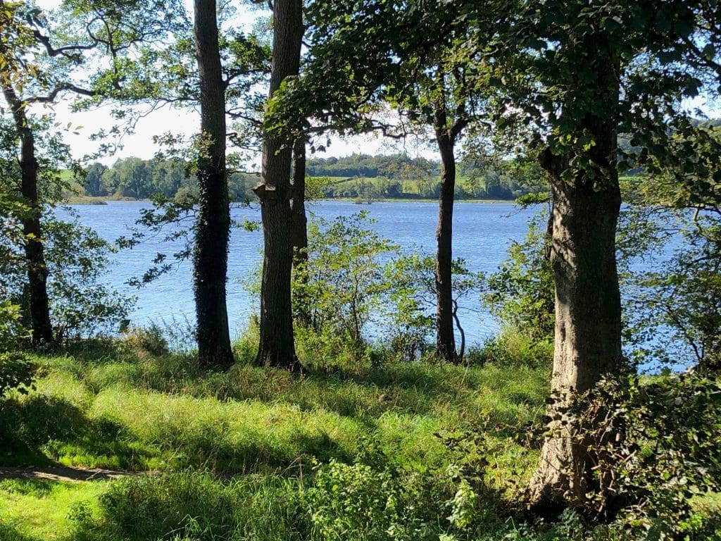 Forestry and Land Scotland’s (FLS) Stay the Night offering destinations than ever before