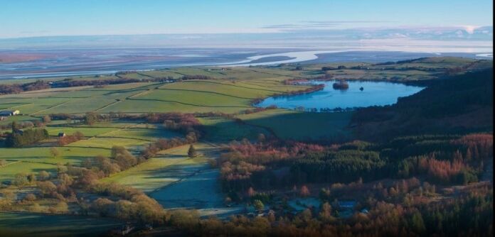 Social enterprise targets small land scraps Across Dumfries and Galloway to boost nature.